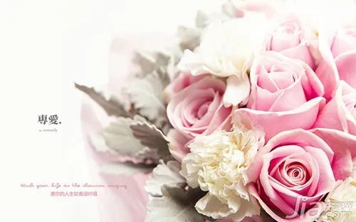 玫瑰花语大全 玫瑰花代表什么