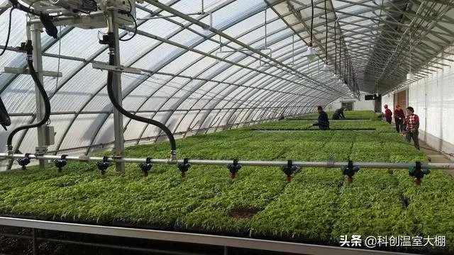 什么是设施农业？