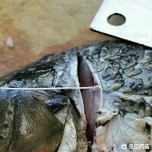 鲤鱼怎么做好吃？