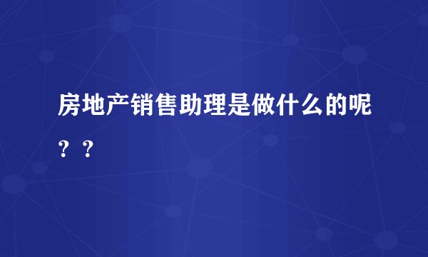 房地产销售助理是做什么的呢？？