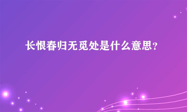 长恨春归无觅处是什么意思？