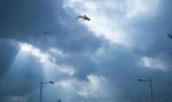 四川出现两条真龙是真的吗 武侠小说场景再现人间