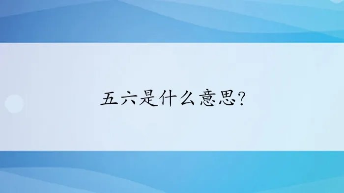 五六是什么意思？