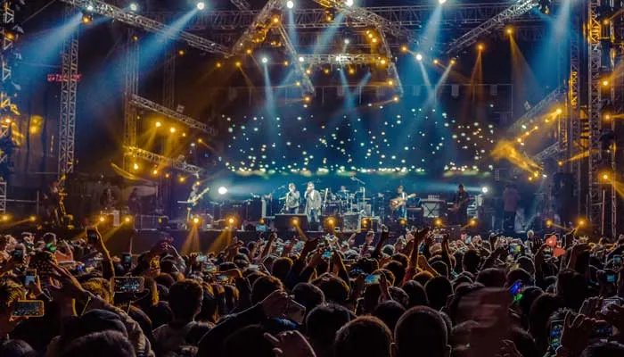 tiktok中文什么意思