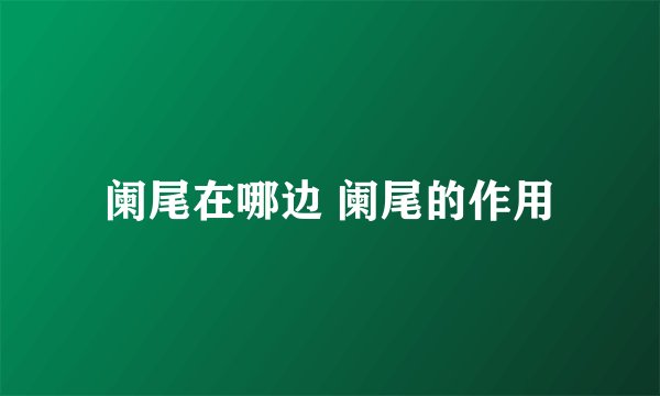 阑尾在哪边 阑尾的作用