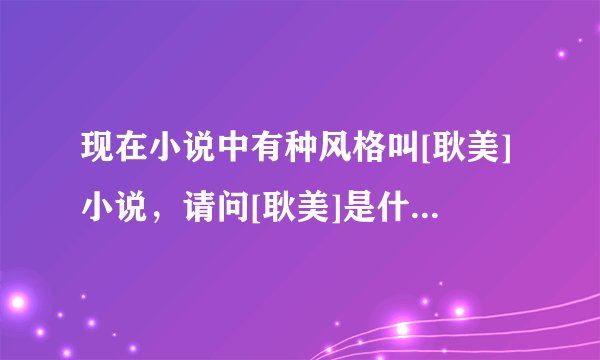 现在小说中有种风格叫[耿美]小说，请问[耿美]是什么意思，什么由来？