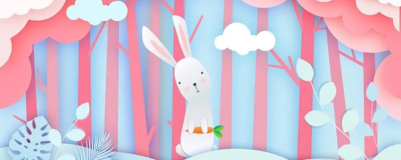 2023年属什么生肖 2023年属相是什么五行是什么