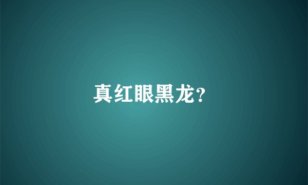真红眼黑龙？