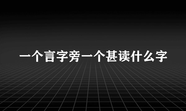 一个言字旁一个甚读什么字