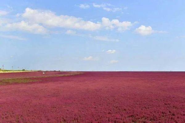 盘锦旅游景点大全排名？