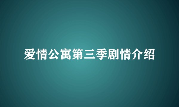 爱情公寓第三季剧情介绍