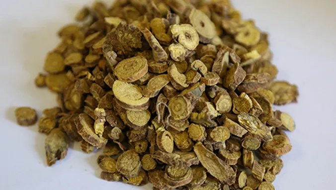 夜交藤的功效与作用