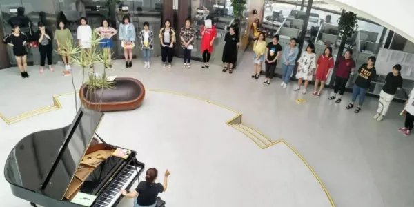 高考艺术类 文化课占多少？