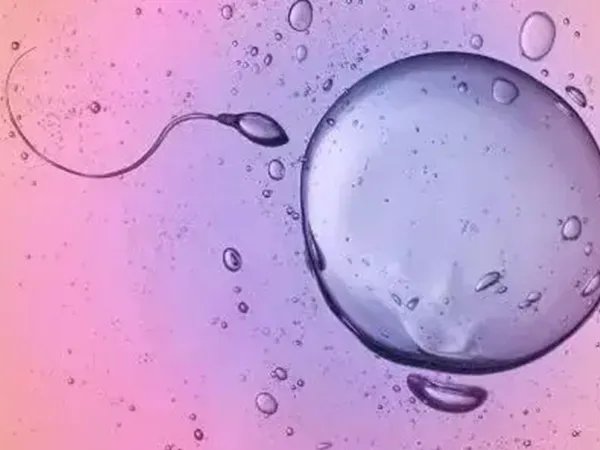 北京第三大学医院生殖中心做一次试管大概需要多少钱?