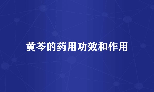 黄芩的药用功效和作用