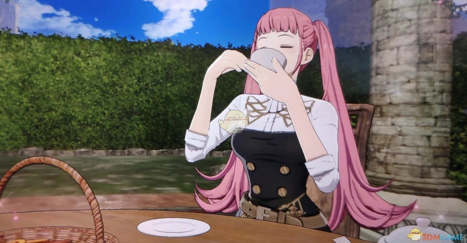 《火焰纹章：风花雪月》全兵种精通技能介绍