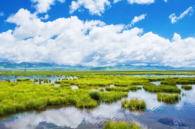 中国的传统节日有哪些 中国的传统节日有多少个