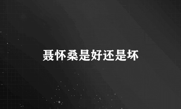 聂怀桑是好还是坏