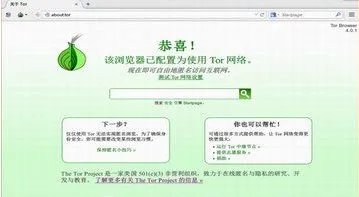 手机版中文tor浏览器是怎样的？