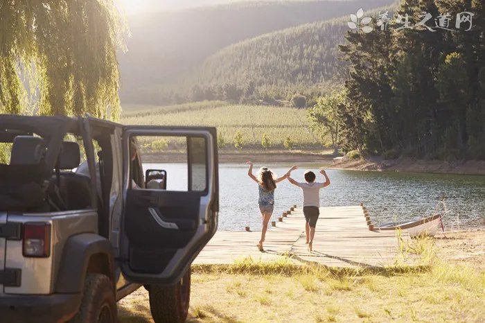 扁豆的功效与作用