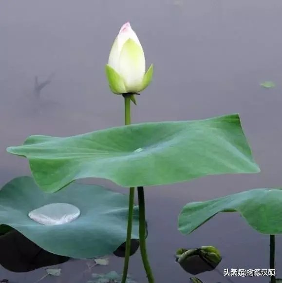 现在会有人劝年轻人凡事要趁早，你怎么看