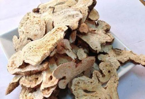 白术的作用与功效