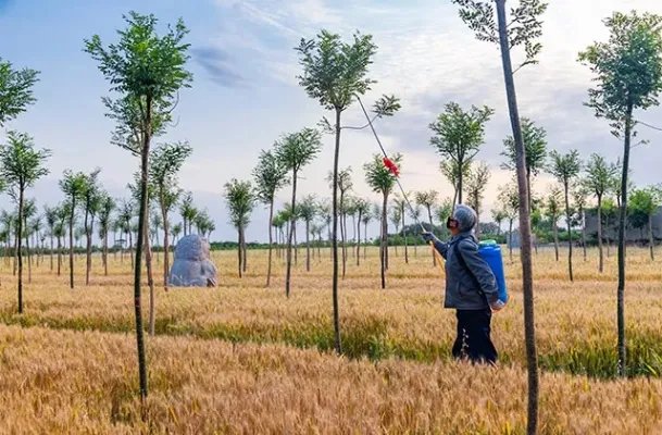 喷雾器的使用方法和步骤 使用喷雾器应注意什么