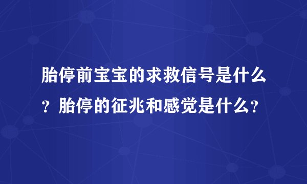 胎停前宝宝的求救信号是什么？胎停的征兆和感觉是什么？