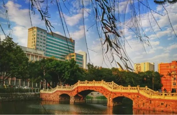 南宁大学有哪些大学