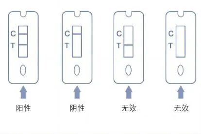 抗原检查怎么看结果图