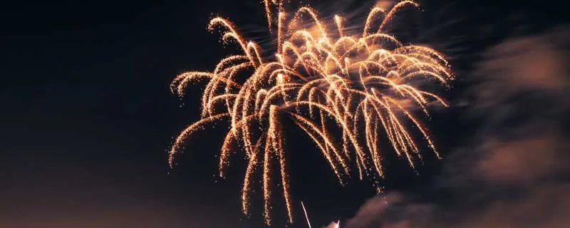 元日的意思 元日的意思解释