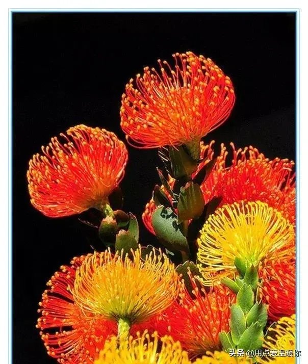 3月13日2021年上半年教师资格证考试开考，你考得怎么样？今年难度如何？