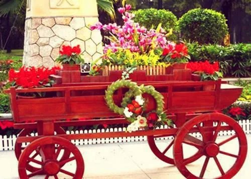 穿越女婿小说(已完结)唐宁钟意唐夭夭章节阅读