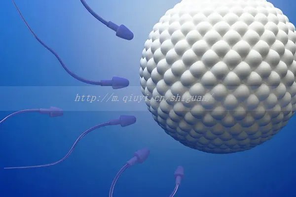 【合肥三代试管婴儿】蚌埠三代试管婴儿如何做