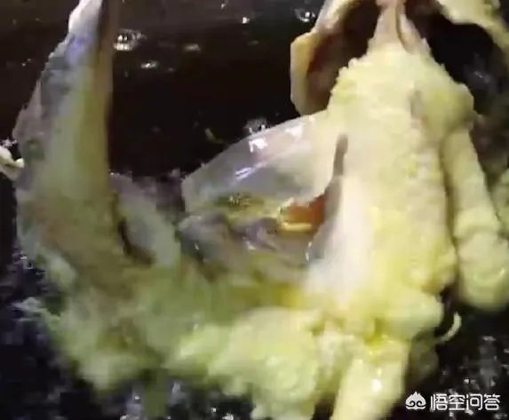 鲤鱼怎么做好吃？