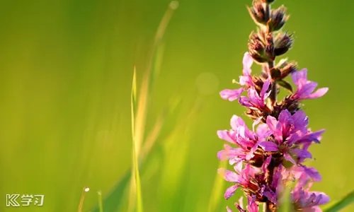 寒假日记400字大全要真实7篇