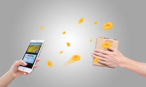 孳息是什么意思