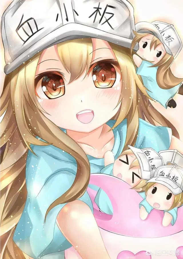 a站、b站、p站都是什么站？