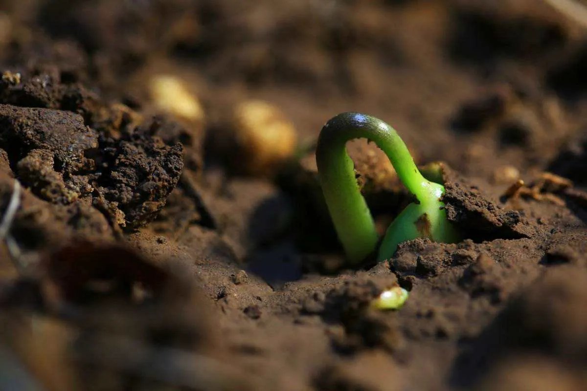 潜滋暗长的意思