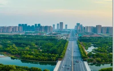 滨湖有什么制成？