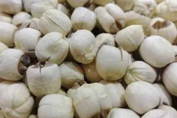 莲子心可以吃吗