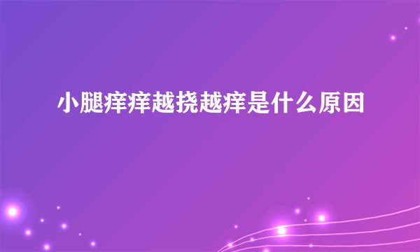 小腿痒痒越挠越痒是什么原因
