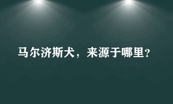 马尔济斯犬，来源于哪里？