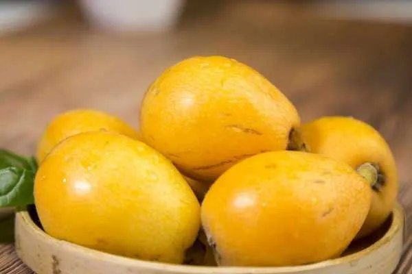 枇杷有什么作用与功效