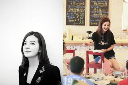 赵薇亮相导协晚宴 豪华私人飞机曝光