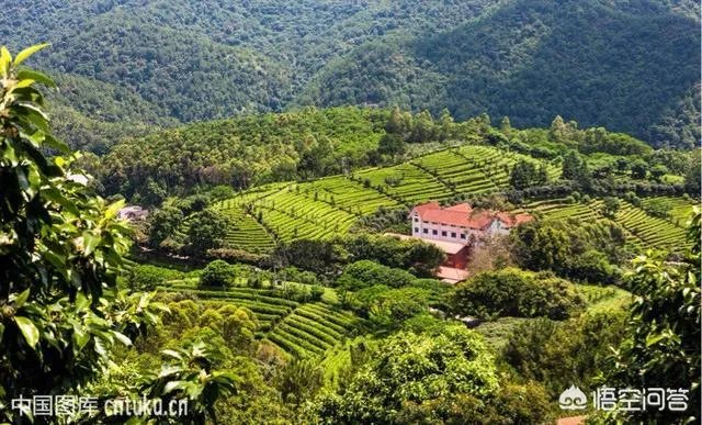 梅州有什么好玩的地方吗？