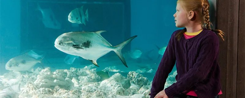 湿度多少合适 湿度多少舒适