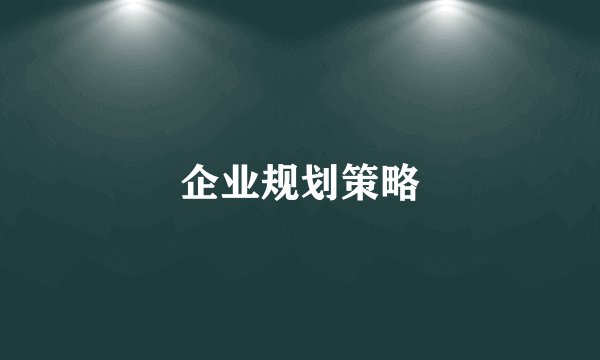 企业规划策略