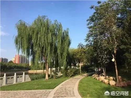 石家庄水上公园好玩吗？