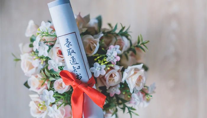 不服从调剂的后果 不服从调剂的后果是什么